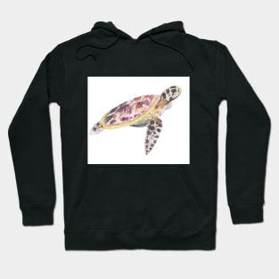 Watercolour Turtle Hoodie